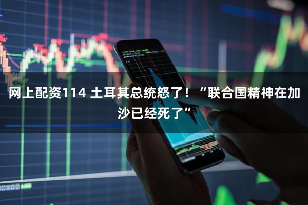 网上配资114 土耳其总统怒了！“联合国精神在加沙已经死了”