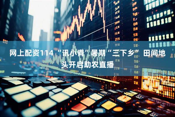 网上配资114 “讯小青”暑期“三下乡” 田间地头开启助农直播