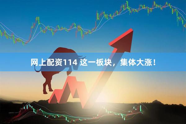 网上配资114 这一板块，集体大涨！
